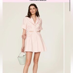 Self-Portrait Pale Pink Embroidered Fit-and-Flare Mini Dress